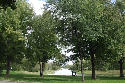 Parc Angrignon