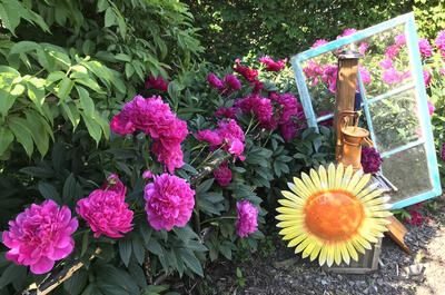 Jardins botaniques et horticoles