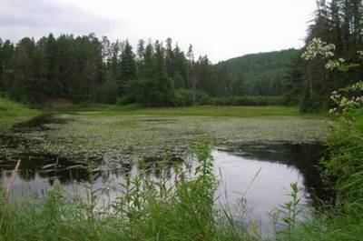 Étang