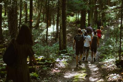 Marche guidée en forêt