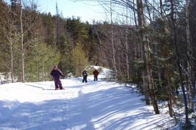 Sentier de raquettes   © Condos Lelydia
