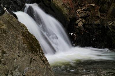 Chute