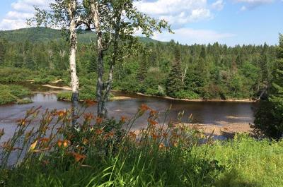 LA RIVIÈRE ENCHANTÉE