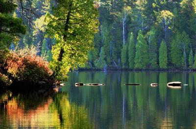 Lac Clair   © J-F.Hardy