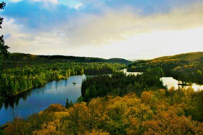 Aire Nature Grandes-Piles (Réserve de biodiversité du Lac Clair)