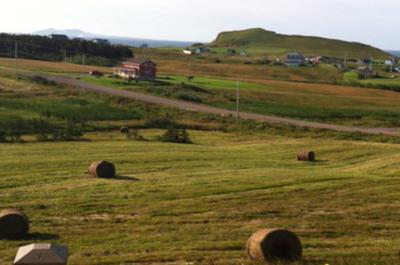 vue du paysage