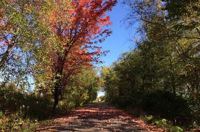 La Montérégiade l'automne