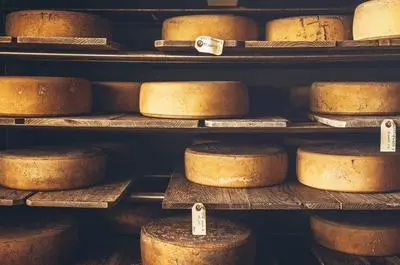 Fromageries et laiteries