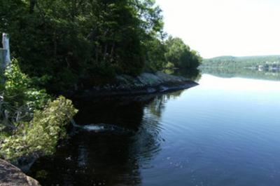 Bord de l'eau - Rivière St-Maurice