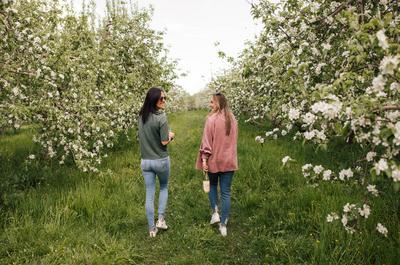 Pommiers en fleurs   © WYBOU.photographe