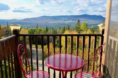 Chalet de la Halte - la vue   © CHALETS FORESSENCE