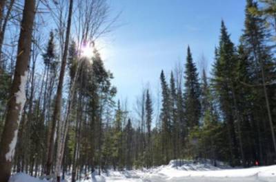 Chemin d'accès en hiver
