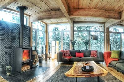 Salon avec foyer au bois