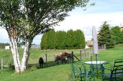 Les amis du voisinage...   © M.Bergeron