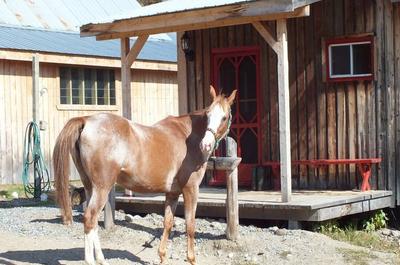 Petit chalet