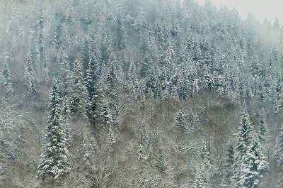 La Haute-Mauricie