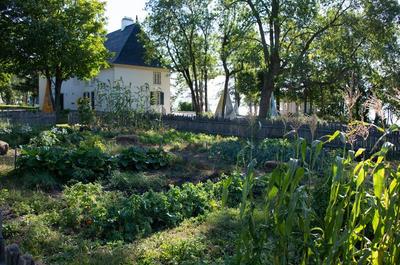 Potager   © P.Lahoud