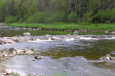 La rivière