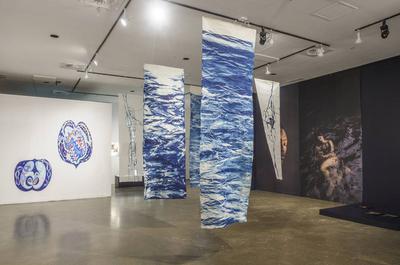 Exposition Les yeux dans l'eau   © F.Lafrance
