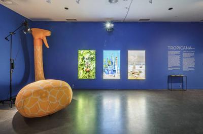 Exposition Tropicana   © F.Lafrance