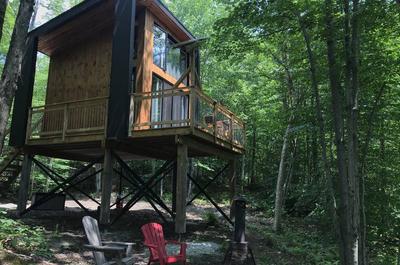 En forêt   © Laö Cabines