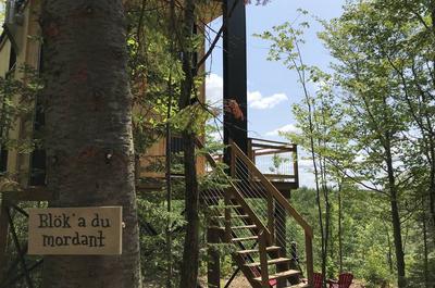 Immersion en forêt   © Laö Cabines