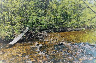 Près de la rivière