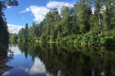 Vue sur la rivière