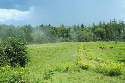 Soixante acres de nature