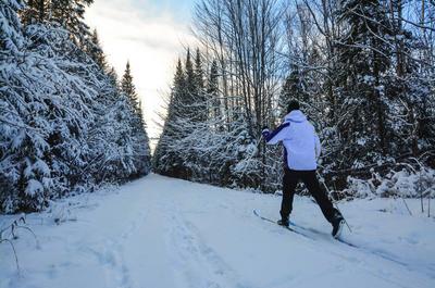 Ski Bel Air   © Bel Air Tremblant