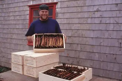 Poissonneries et fumoirs