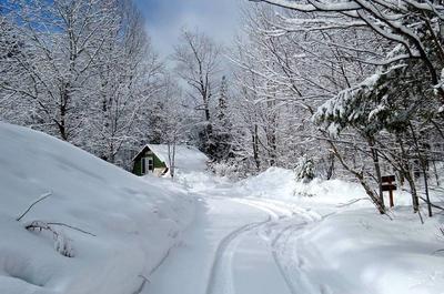 Saison hivernale