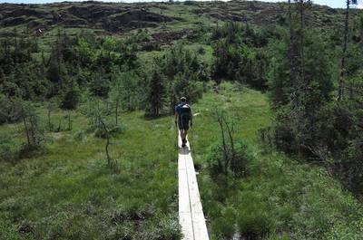 Sentier en Gaspésie