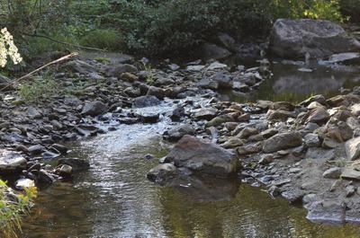 Rivière
