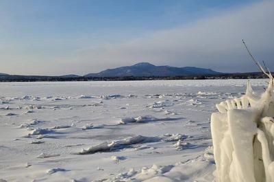 Paysage d'hiver