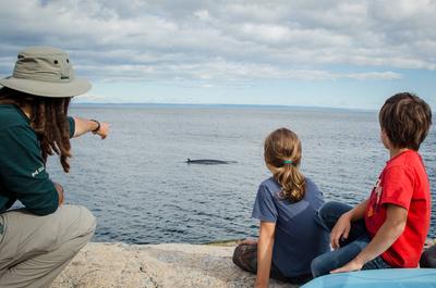 Observation des baleines   © Parcs Canada/M-I. Rochon