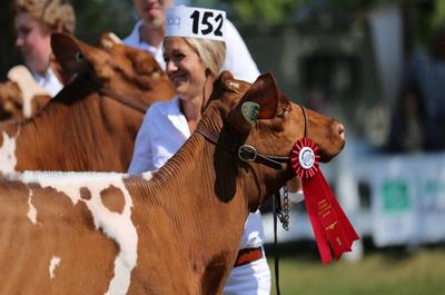 Expo Brome Fair