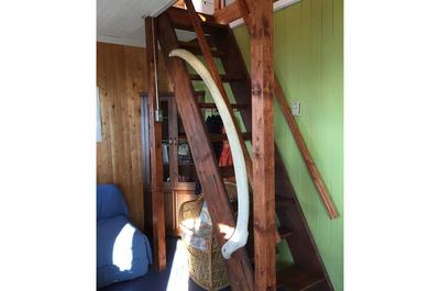 Escalier de bateau   © S.St-Pierre