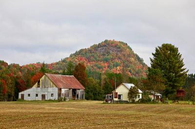 Paysage champêtre   © F-X. Bleau