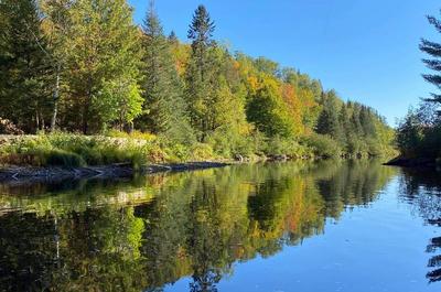 Vue Rivière