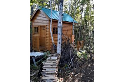 Cabane dans la forêt