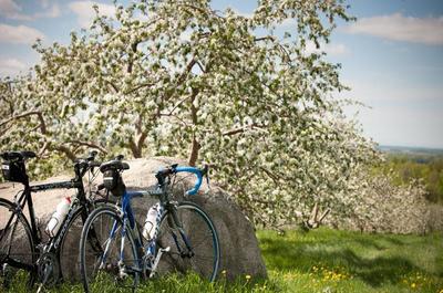 Sortie en vélo