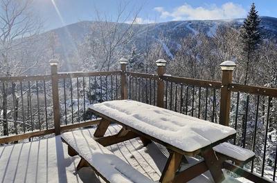 Patio-L'après-Ski Chalet Locatif