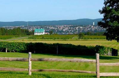 Prenez la route des vins du Québec