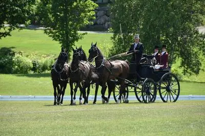 International d’attelage Bromont