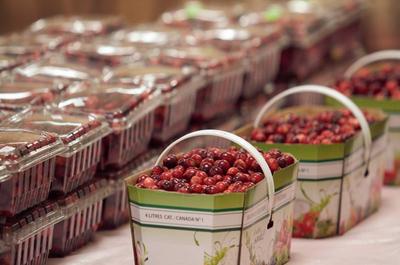 Fruits frais   © P.Laroche