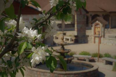 Printemps au Monastère