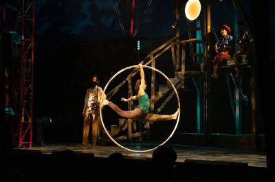 Festival de Cirque des Îles