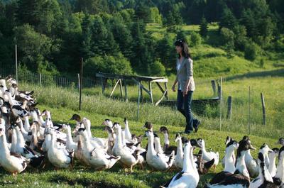 Rallye papilles et terroir dans Charlevoix