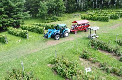 Balade au vignoble